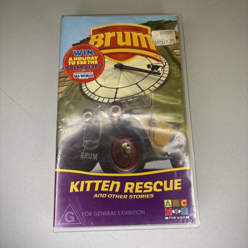 Brum kitten rescue - kitten, ~