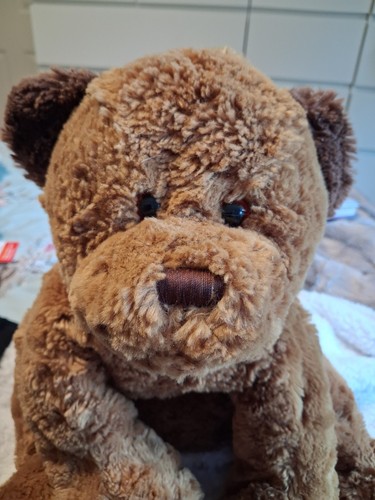 Huggie teddy bear - huggie,