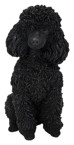 Vivid arts black poodle - arts,