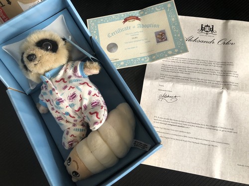 Baby oleg meerkat - baby, &