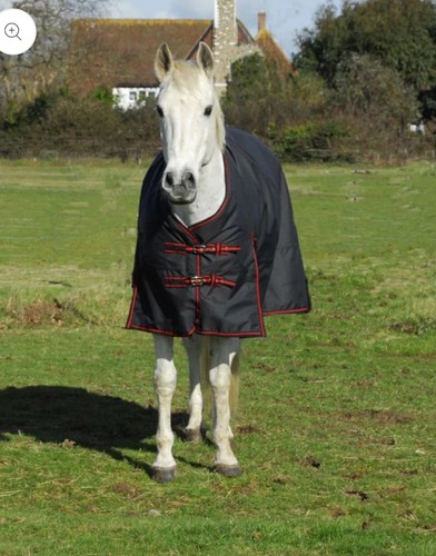 Rhinegold thor 350gm turnout - rhinegold,