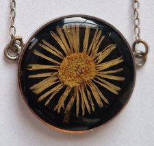 Vintage Real Dried Flower