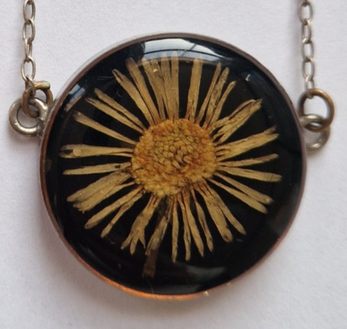 Vintage real dried - vintage,