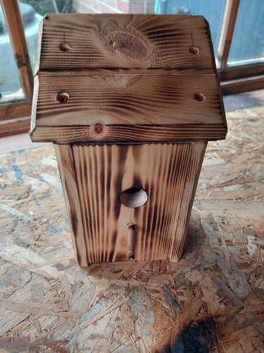 Blue tit nesting box suitable - blue,