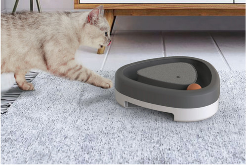 Pet cat self hey - pet, toy