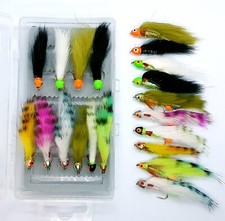 Conehead Zonkers Variety Sz8