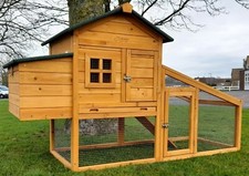 Chicken coop run - chicken,
