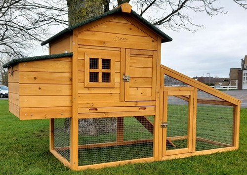 Chicken coop run hen - chicken,