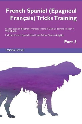 French spaniel epagneul - french, (epagneul