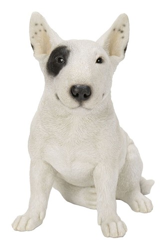 Vivid arts bull terrier - arts, black