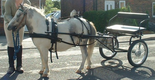 Wheel shetland pony cart - wheel,