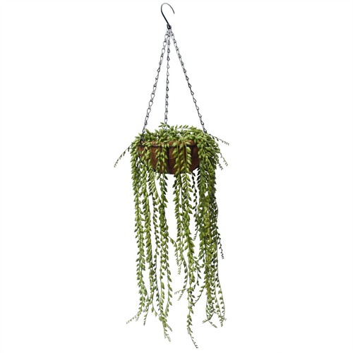String pearls hanging - of,