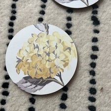 Laura Ashley Camomile Hydrangea coasters set of 4 camomile and truffle 