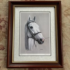 Desert Orchid Racehorse Framed