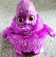 Golden Bear Ragdoll 2003