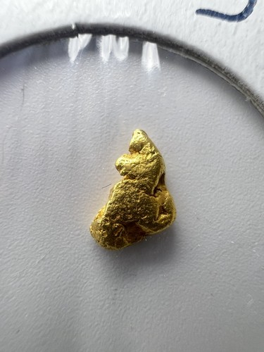 Gold nugget hand panned - hand,