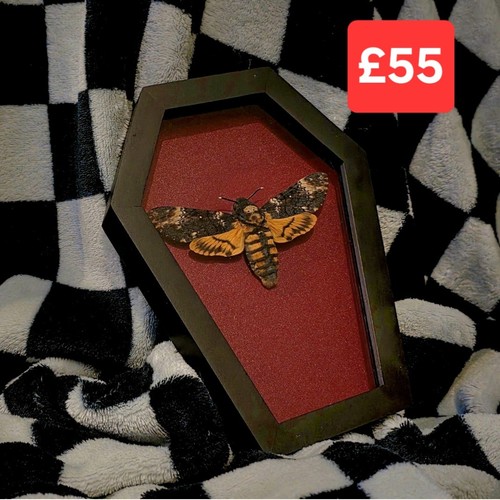 Death head hawk moth - hawk, in