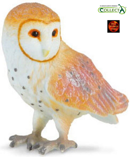 Barn owl bird - bird, toy
