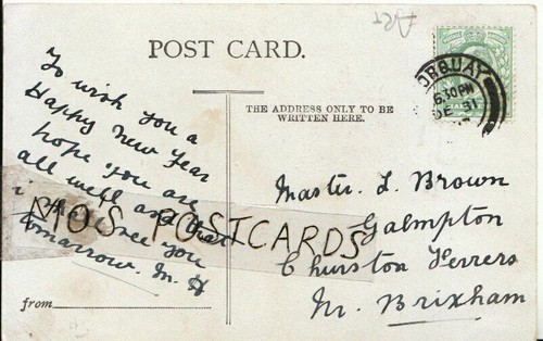 Genealogy postcard brown - postcard,