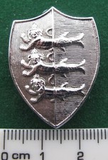 Great Yarmouth Borough Police collar badge