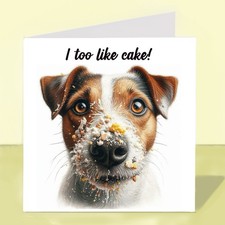 Jack russell terrier - terrier, dog