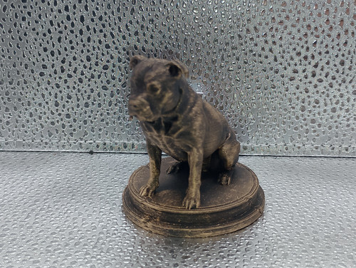 Staffordshire bull terrier dog - staffordshire,