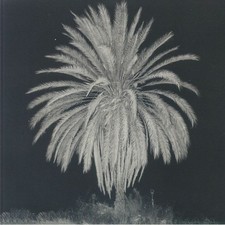 SEVERED HEAD - OP 5 Story -