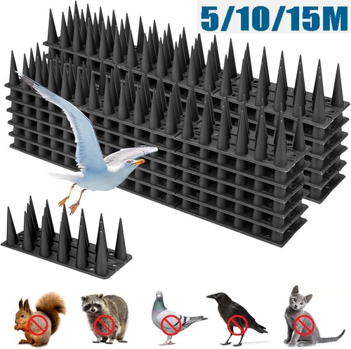 Bird spikes for - bird,