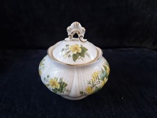 A fine bone china Royal Albert lidded sugar bowl Primrose