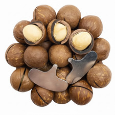 Macadamia nuts in shell 500g -