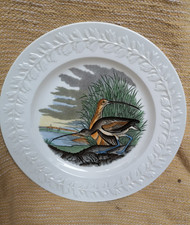 Long Billed Curlew. John James Audubon Birds of America plate