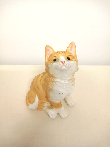 Royal worcester kittens - worcester,