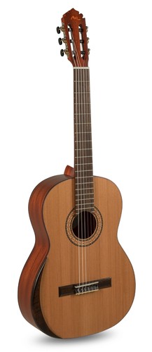 Manuel rodriguez tradicion - rodriguez,