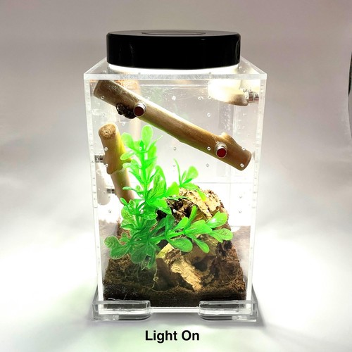 Jumping spider led - jumping,