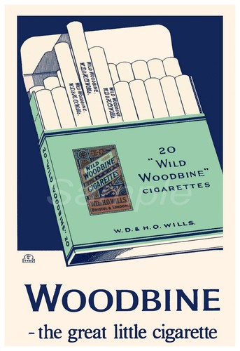 Vintage woodbine cigarettes - vintage,