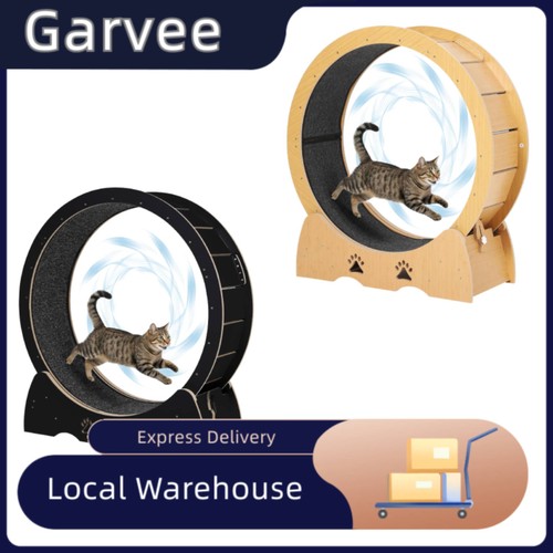 Wooden cat exercise - exercise, wheel