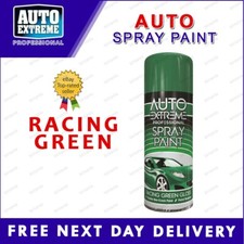 Auto Spray Paint Aerosol Can