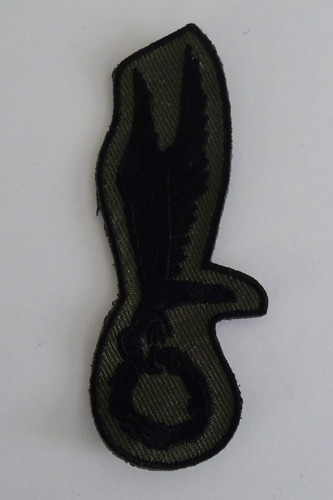 Polish paratrooper jump - polish, wings