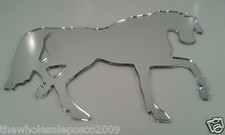 HORSE MIRROR NOVELTY ACRYLIC SHATTER RESISTANT PERSPEX IDEAL EQUESTRIAN GIFT