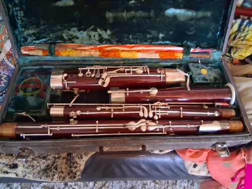 Fagote basoon beginner - basoon, beginner.