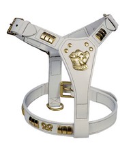Staffy designer dog harness - dog,