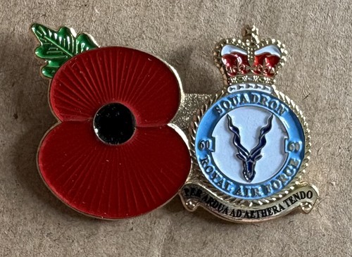 Rare squadron royal - squadron,