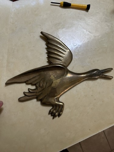 Brass flying duck wall - duck, art