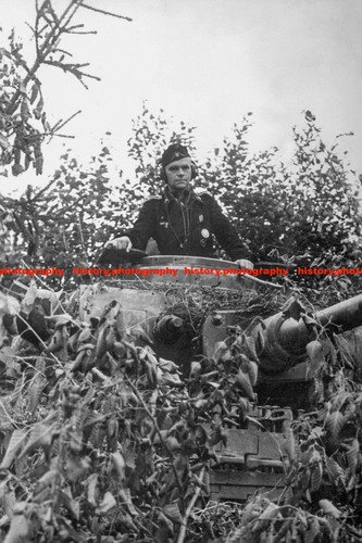 F028648 camouflaged german - f028648,
