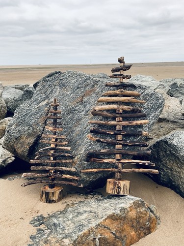 Driftwood tree unique - driftwood,