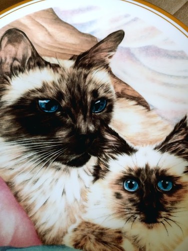 Vintage royal vale siamese cat - vale,