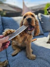 LARGE Split Wild Antler Horn Dog Chew Soft  Chew Plaque Remover Puppy Chew