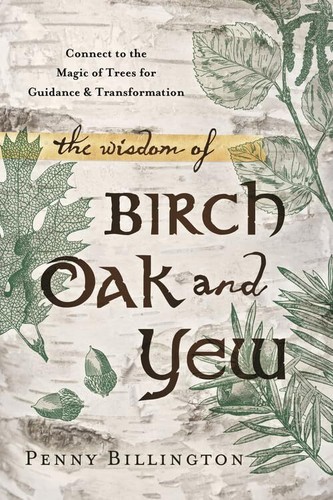 The wisdom birch oak - the,