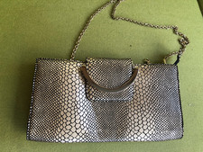 Italian Coccinelle  Python