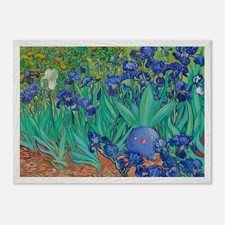 Oddish x Van Gogh Blue Irises